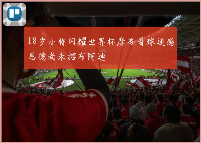18岁小将闪耀世界杯摩洛哥球迷感恩德尚未招布阿迪